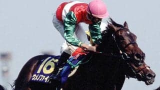 ウメノファイバーが死亡、25歳　1999年オークスを蛯名正義騎手の手綱で制覇