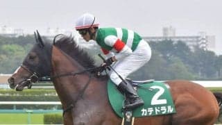 【勝負の分かれ目 京成杯AH】戸崎騎手の「決め打ち」でカテドラルが重賞初制覇