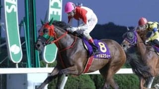 【佐賀・ロータスクラウン賞結果】牝馬トゥルスウィーが押し切り三冠達成！