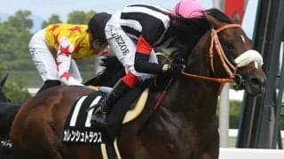 【京成杯AH】カレンシュトラウスは鼻出血を発症