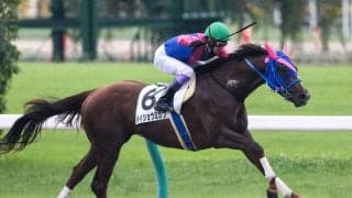 【中京7R】格上挑戦メイショウミカワが5馬身差圧勝