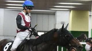 音無秀孝調教師が現役3人目のJRA通算900勝「ただ感謝しかありません」