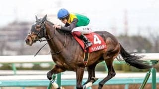 JRAは3日間開催 TRのローズSとセントライト記念に注目/今週の競馬界の見どころ