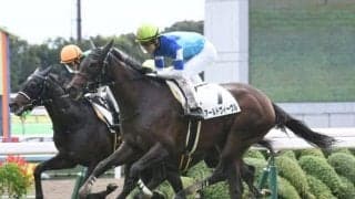 【ローズS見どころ】アールドヴィーヴルの重賞初制覇なるか