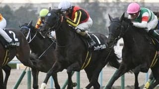 【阪神ジャンプS想定騎手】フォイヤーヴェルクは白浜雄造騎手、トゥルボーは石神深一騎手