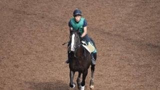 アリストテレス半弟ソクラテスがデビュー/関西馬メイクデビュー情報