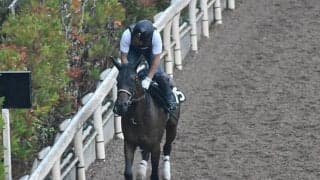 【ローズS想定騎手】アールドヴィーヴルは松山弘平騎手、クールキャットはC.ルメール騎手