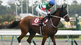 1200-1400mでは連対パーフェクト　父母の特長を受け継いでいるレシステンシア