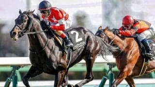 【セントライト記念】菊花賞の台風の目はこの馬 前哨戦でAIが弾き出した中穴ダークホース/JRA重賞レース展望