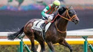 「産駒のコース適性は尋常ではない」セントライト記念の中山芝2200mに強い種牡馬は？
