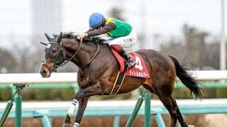 【セントライト記念想定騎手】タイトルホルダーは横山武史騎手、オーソクレースはC.ルメール騎手