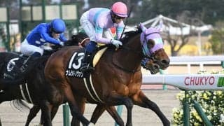 【先週のJRA抹消馬】万葉Sの勝ち馬ナムラドノヴァン、20年ダリア賞勝ち馬ブルーバード、19年伏竜S勝ち馬デアフルーグなど