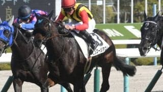 【ローズS展望】波乱が珍しくない秋華賞トライアル、あの穴馬に注目