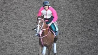 エイミーバローズなど、先週のゲート試験/栗東トレセンニュース