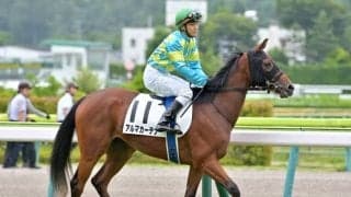 【門別競馬情報】奥手の血が開花？4連勝なるかパワースカイ。堅実フロイング、上昇うかがえるトップギアら上位候補多数で混戦模様「パンプキンタウン和寒特別」/地方競馬情報