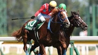 【阪神ジャンプS予想オッズ】フォイヤーヴェルクが予想1番人気、トゥルボーが続く