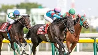 【ローズS予想オッズ】春のクラシックの無念を晴らせるか？ アールドヴィーヴルが予想1番人気