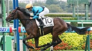 【新馬/中山5R】6番人気 オニャンコポンがデビューV