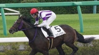 【新馬/中山3R】ルーラーシップ産駒 コマノカモンがデビューV