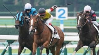 【新馬/中山5R】ドレフォン産駒 オルコスがデビューV