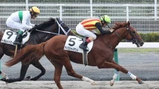 【新馬/中京3R】ダンカーク産駒 アイスジャイアントがデビューV