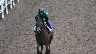 【日本テレビ盃】クリソベリルが9カ月ぶりに戦列復帰へ！