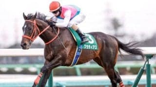 【セントライト記念展望】東の菊花賞トライアル、あの馬に期待したい