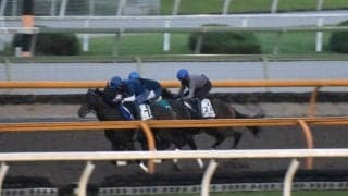 ヴァンドギャルド、毎日王冠追い切り速報/栗東トレセンニュース