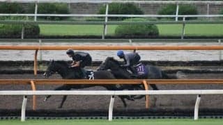 クロノジェネシス、凱旋門賞追い切り速報/栗東トレセンニュース