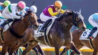 【AI予想】血統や生産者も見逃せないポイント！ ローズSでAIが選んだ人気薄の1頭を分析