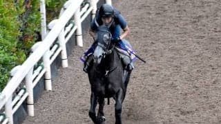 【凱旋門賞】ディープインパクト産駒スノーフォールは3番人気に後退/9月15日時点オッズ