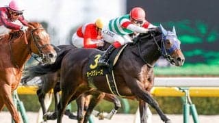 【セントライト記念注目馬】オーソクレース　メンバー屈指の良血がようやく真価を発揮