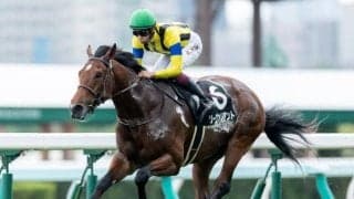 【セントライト記念注目馬】ソーヴァリアント　世代最大の上がり馬が菊への道を切り拓く