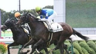 【ローズS注目馬】アールドヴィーヴル　姉が敗れた舞台で悲願のタイトル奪取を