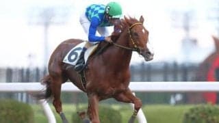 【川崎・シャイニングトレジャー賞結果】森泰斗騎手騎乗のレディオガガが人気に応えて完勝