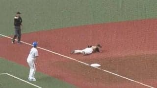 「全ハムファンが泣いた」　敵地も大喝采…超低空飛行の美技は「あと300回は観る」