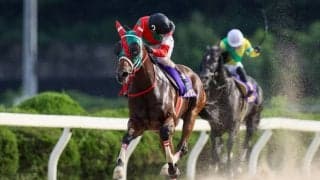 【オーバルスプリント】JRA出走予定馬