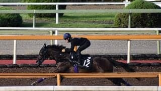 【ローズS注目馬】父ディープインパクト、母仏オークス馬 世界的良血が3冠目奪取に向けて始動