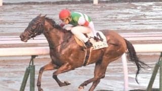 ローズSの注目は「夏の上がり馬」２頭。血統やコース適性は文句なし