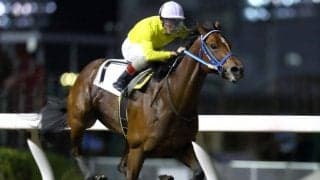 【川崎・多摩オープン結果】快勝ルイドフィーネの町田直希騎手「牝馬路線でまた大きいところを獲らせてあげたい」