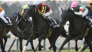 【阪神ジャンプS枠順確定】フォイヤーヴェルクは3枠3番、トゥルボーは7枠8番
