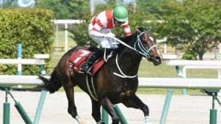【阪神ジャンプS予想】先行力は不可欠な要素の障害重賞競走
