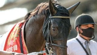 【神戸新聞杯想定】ダービー馬シャフリヤール、春二冠とも3着ステラヴェローチェなど8頭