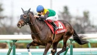 【セントライト記念枠順確定】タイトルホルダーは5枠7番、オーソクレースは6枠10番