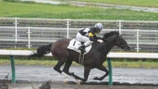 【中京4R新馬戦結果】アスクドゥラメンテが快勝、福永Jは年間100勝達成