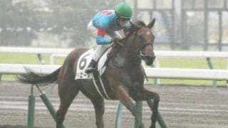 【中京5R新馬戦結果】インディチャンプの妹ラキエータが人気に応える