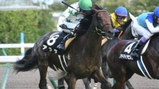 【ケフェウスS結果】アラタが差し切り4連勝