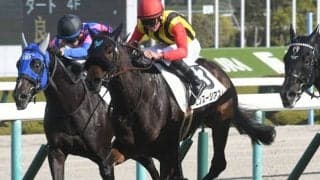 【WIN5予想】ローズSは“急坂”に対する適性がポイント