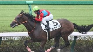 ワンアンドオンリー産駒がJRA初勝利、アトラクティーボが10馬身差レコードV
