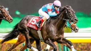 【ローズS予想】同距離GII勝ちの人気馬がまさかの『消し』 その理由は馬体重？/JRAレース展望